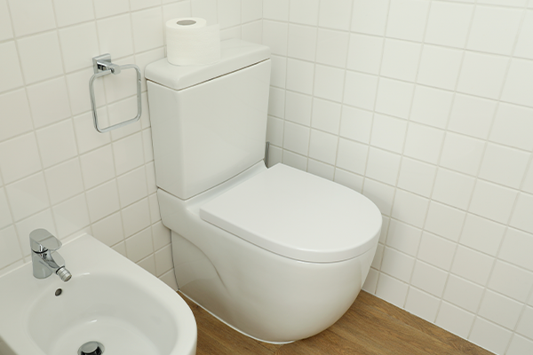 Accessible Bathrooms Reno 600x400 Close Coupled Toilet on wooden floor